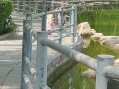-莲湖公园