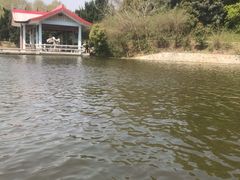 -太子山公园(园东路)