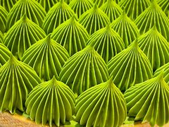 -猫里有甜