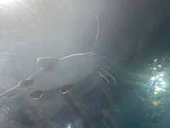 -苏州海洋馆