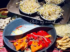 -阳阳老火锅(小南门店)