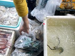 -霞涌市场海鲜摆卖区
