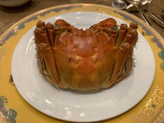 -王宝和酒家(黄浦店)