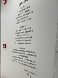 -智美品质医美