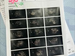 -美联众合动物医院·24h转诊中心