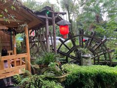 -青城甲(青城山店)