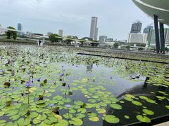 -Pazzion(Wisma Atria)