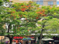 -缘生态云南菜·野生菌庭院餐厅(华侨城店)