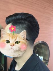 -MY HAIR ARDOR