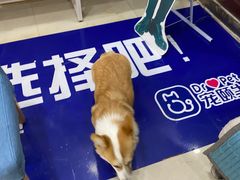 -宠颐生·恒爱宠物医院(静海店)