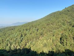 -铁山坪森林公园