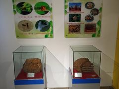 -上海昆虫博物馆