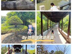 -八大山人梅湖景区