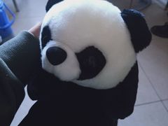 -川西坝子(老军营店)