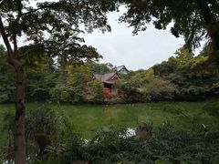 -井之头恩赐公园