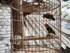 -鱼桥巷·美学川菜