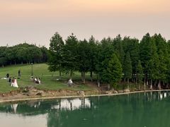 -滆湖低碳生态公园