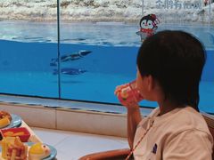 -帝企鹅自助餐厅•儿童岛•真企鹅(长隆企鹅酒店)