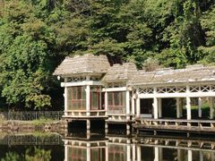 -云南屏边大围山国家公园