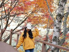 -叠溪松坪沟景区