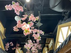 -松子料理(亮马桥店)
