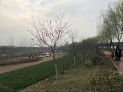 -洨河生态公园