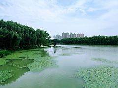 -昆山城市生态森林公园