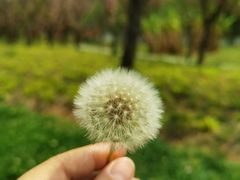 -贵阳市花溪国家城市湿地公园