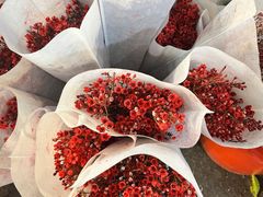 -循礼门鲜花花市(武汉循礼门店)