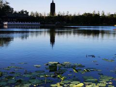 -西海子公园