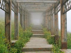 -白草畔自然风景区