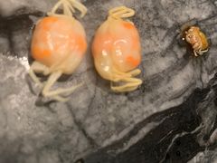 -海底捞火锅(漕宝路店)