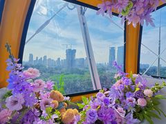 -巨鹏飞梦幻海岸