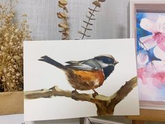 -信马画室 成人零基础到个人创作画室(亚运村店)