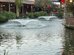 -大门水乡·顺德菜
