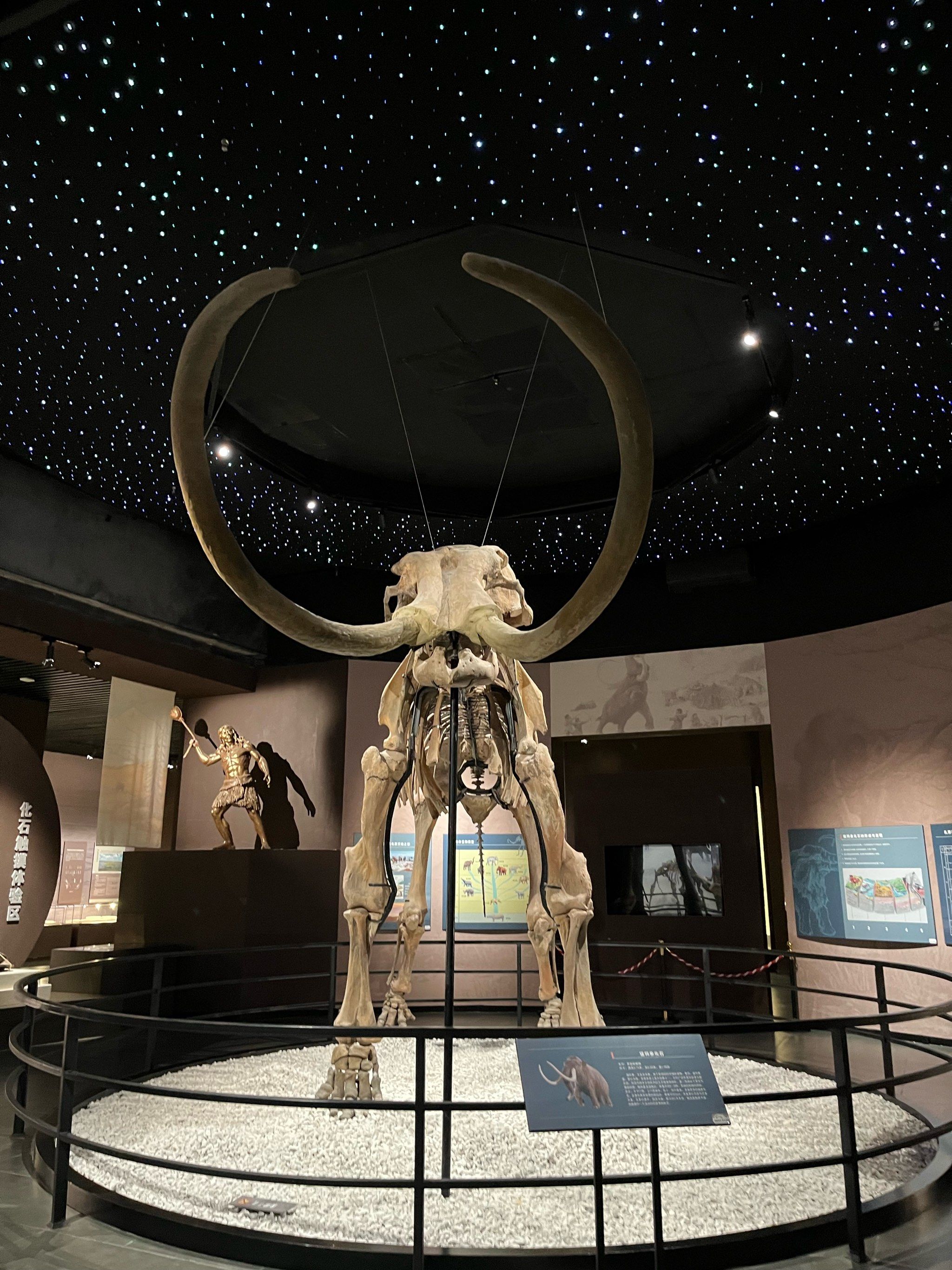 「呼伦贝尔历史博物馆」承载历史悠久,值得