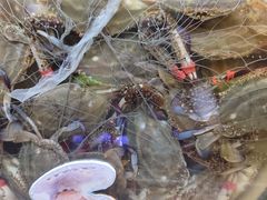 -聚盛源蒸汽海鲜火锅烤肉自助(巨川金海岸购物广场店)