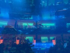 -迪拜水族馆及水下动物园