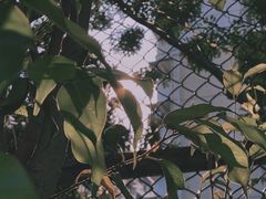 -福田体育公园