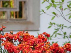 -杭州植物园