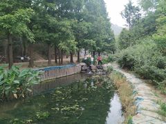 -白水寺森林公园