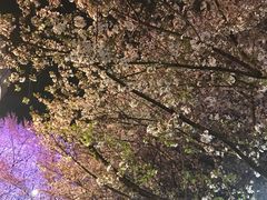 -虹口龙之梦购物中心·停车场