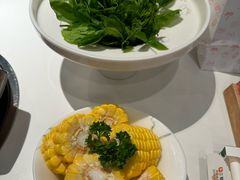 -烹然四季椰子鸡火锅(姚家园万象汇店)