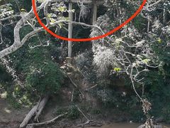 -野象谷景区