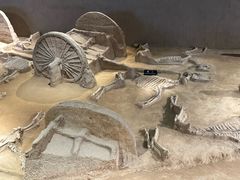 -洛阳周王城天子驾六博物馆