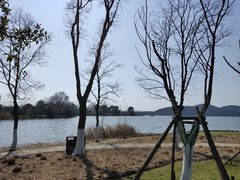 -东湖落雁景区