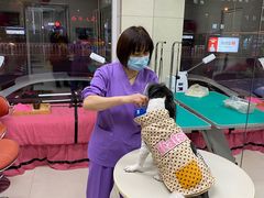 -北京观赏动物医院·24小时大型综合·猫专科·异宠专科