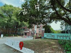-上海交通大学医学院附属第九人民医院(浦东院区)