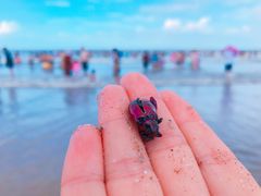-嵊泗基湖沙滩