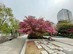 -西湖文化广场